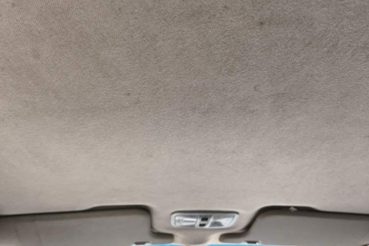 Used Great Wall Wingle 5 2021 2.0T Diesel Two-Wheel Drive Elite Version with Long Cargo Bed China VI Emission Standard GW4D20M Headliner