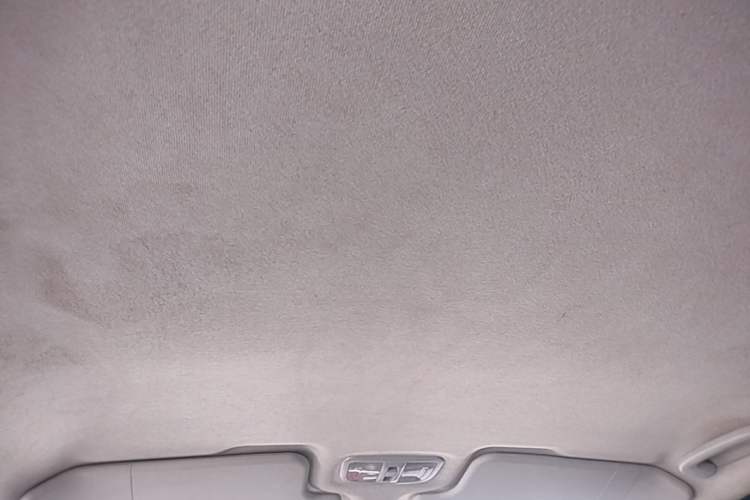 Used Great Wall Wingle 5 2021 2.0T Diesel Two-Wheel Drive Ultra-Value Big Double-Cab China VI GW4D20M Headliner