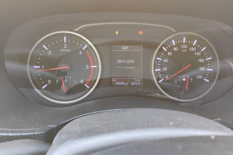 Used Great Wall Wingle 5 2021 2.0T Diesel Two-Wheel Drive Elite Version Big Double Cab China VI Standard GW4D20M Instrument Cluster