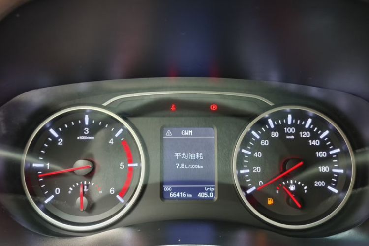 Used Great Wall Wingle 5 2021 2.0T Diesel Two-Wheel Drive Elite Version Big Double Cab China VI Standard GW4D20M Odometer Close Up