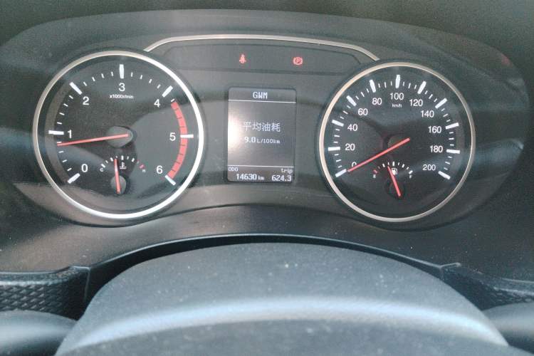 Used Great Wall Wingle 5 2021 2.0T Diesel Two-Wheel Drive Elite Version Big Double Cab China VI Standard GW4D20M Odometer Close Up