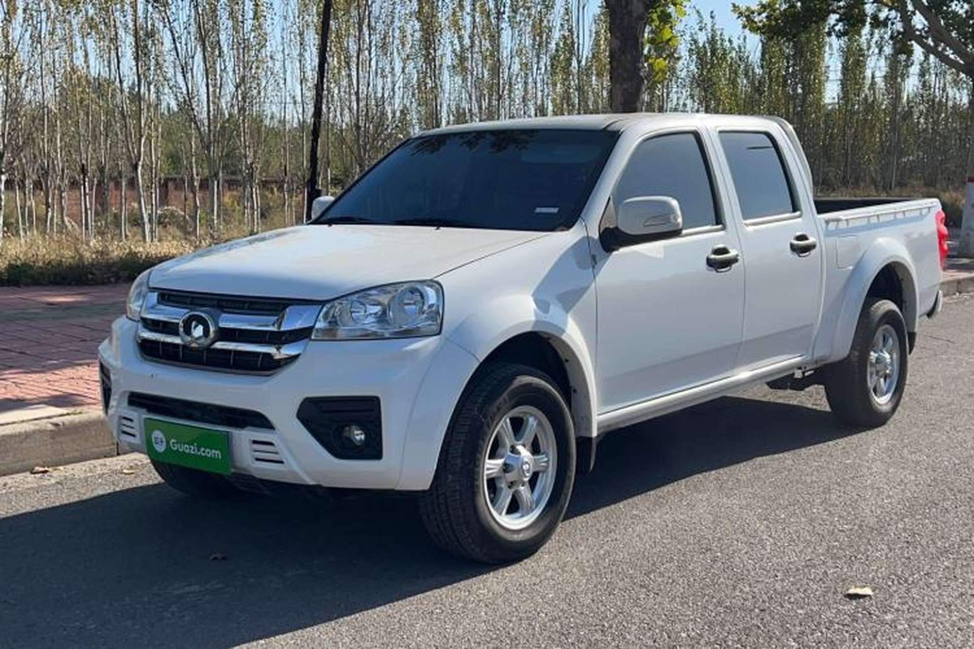 Used Great Wall Wingle 5 2021 2.0T Diesel Two-Wheel Drive Elite Version Big Double Cab China VI Standard GW4D20M Front Left 45 Deg