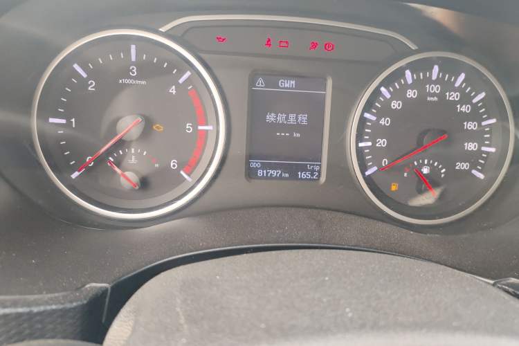 Used Great Wall Wingle 5 2021 2.0T Diesel Two-Wheel Drive Elite Version Big Double Cab China VI Standard GW4D20M Odometer Close Up