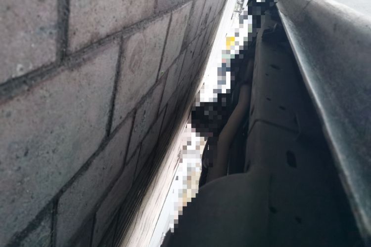 Used Great Wall Wingle 5 2023 "Dry Meal" Version 1.5T Gasoline Two-Wheel-Drive Advanced Large Double Chassis Front Right