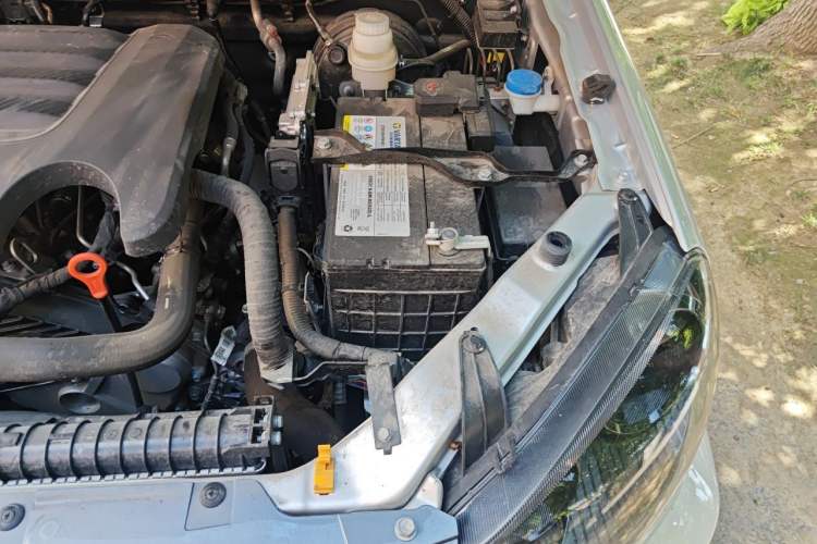 Used Great Wall Wingle 5 2023 2.0T Diesel Two-Wheel Drive Advanced Big Double Engine Bay Left