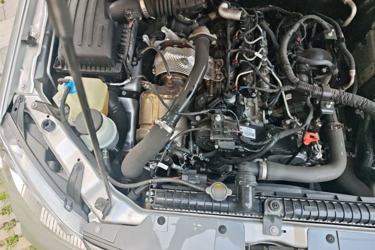 Used Great Wall Wingle 5 2023 2.0T Diesel Two-Wheel Drive Advanced Big Double Engine Bay Right