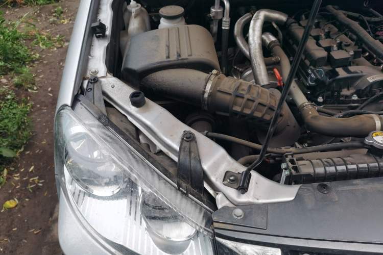 Used Great Wall Wingle 5 2023 "Dry Meal" Version 1.5T Gasoline Two-Wheel-Drive Advanced Large Double Engine Bay Right