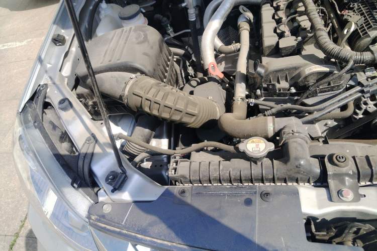 Used Great Wall Wingle 5 2023 "Dry Meal" Version 1.5T Gasoline Two-Wheel-Drive Advanced Large Double Engine Bay Right