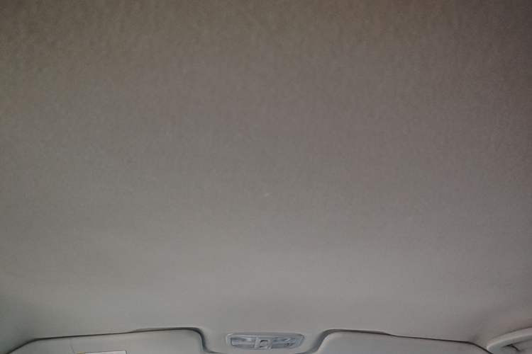 Used Great Wall Wingle 5 2023 2.0T Diesel Two-Wheel Drive Advanced Big Double Headliner