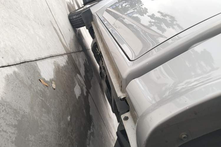 Used Great Wall Wingle 5 2023 2.0T Diesel Two-Wheel Drive Advanced Big Double Left Side Sill