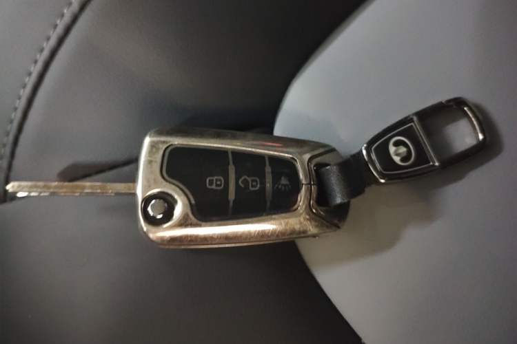 Used Great Wall Wingle 5 2023 2.0T Diesel Two-Wheel Drive Advanced Big Double Vehicle Key
