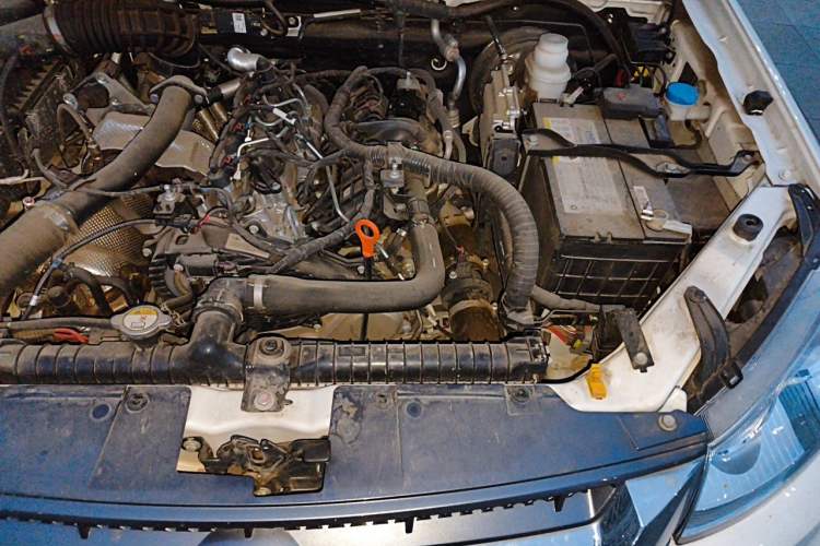 Used Great Wall Wingle 5 2023 2.0T Diesel Two-Wheel Drive Advanced Big Double Engine Bay Left
