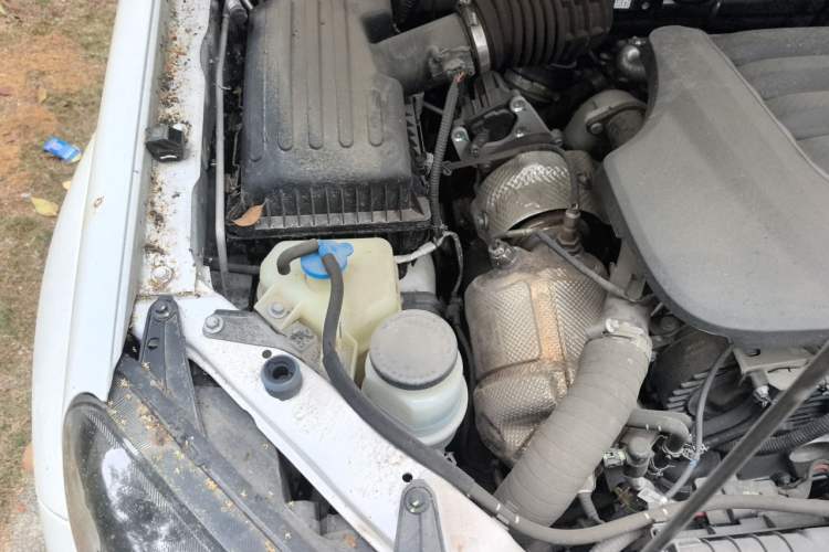 Used Great Wall Wingle 5 2023 2.0T Diesel Two-Wheel Drive Elite Flatbed Truck Engine Bay Right