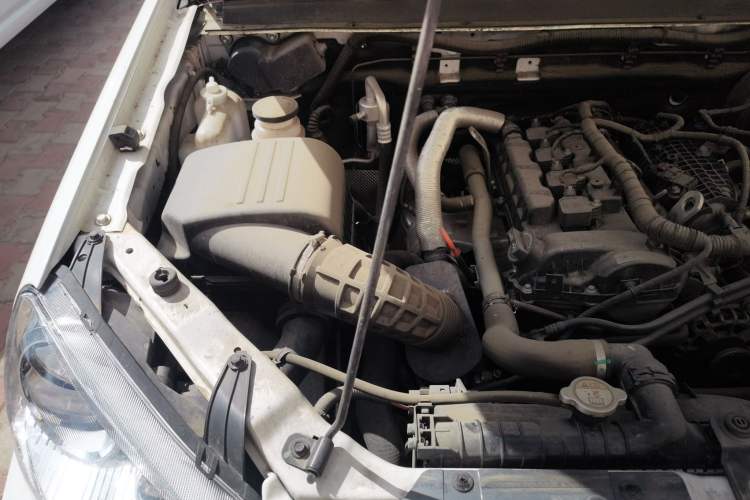 Used Great Wall Wingle 5 2023 "Dry Meal" Version 1.5T Gasoline Two-Wheel-Drive Advanced Large Double Engine Bay Right