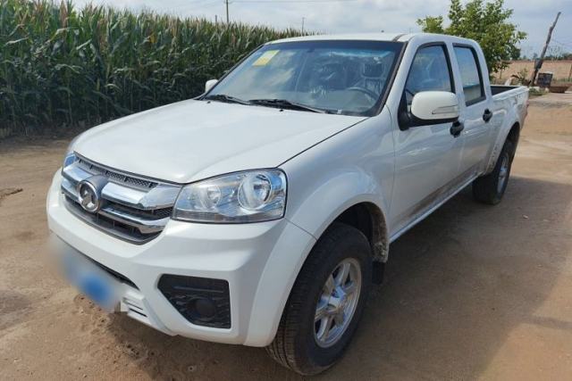 Used Great Wall Wingle 5 2023 2.0T Diesel Two-Wheel Drive Advanced Big Double