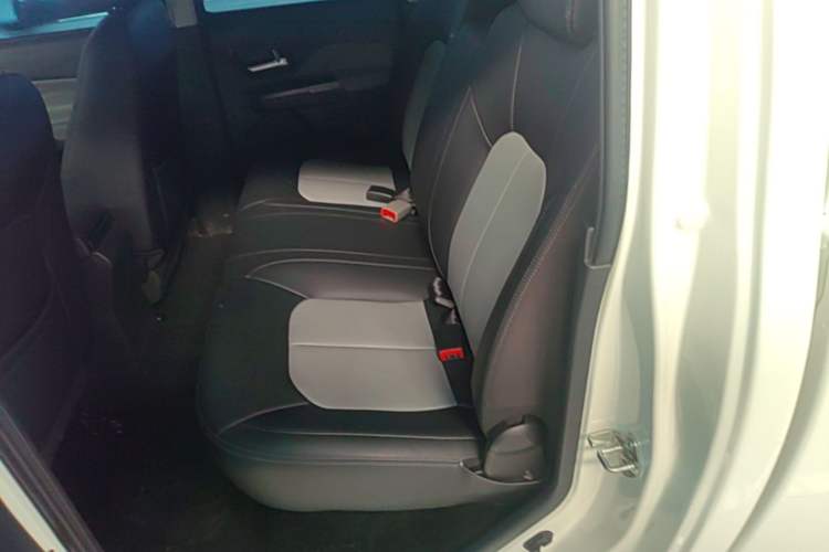 Used Great Wall Wingle 5 2023 "Dry Meal" Version 1.5T Gasoline Two-Wheel-Drive Advanced Large Double Left Rear Seat