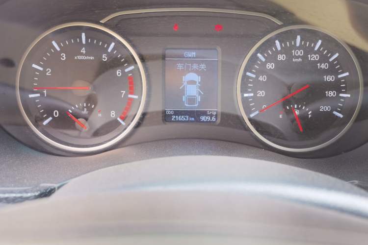 Used Great Wall Wingle 5 2023 "Dry Meal" Version 1.5T Gasoline Two-Wheel-Drive Advanced Large Double Odometer Close Up