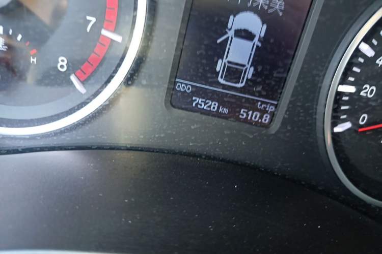 Used Great Wall Wingle 5 2023 2.4L Gasoline Two-Wheel-Drive Entry-Level Big Double Odometer Close Up
