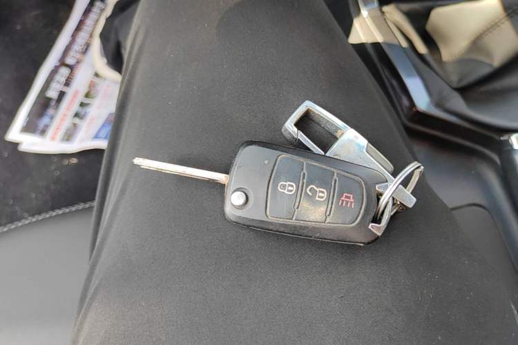 Used Great Wall Wingle 5 2023 "Dry Meal" Version 1.5T Gasoline Two-Wheel-Drive Advanced Large Double Vehicle Key
