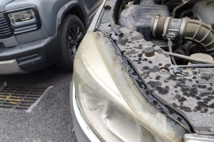 Used Great Wall Wingle 6 2014 2.0T Two-Wheel Drive Elite Version 4D20B Right Front Headlight