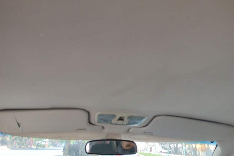 Used Great Wall Wingle 6 2014 2.0T Two-Wheel Drive Elite Version 4D20B Headliner