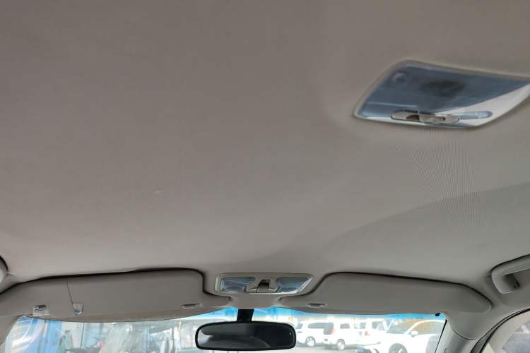 Used Great Wall Wingle 6 2014 2.0T Two-Wheel Drive Elite Version 4D20B Headliner