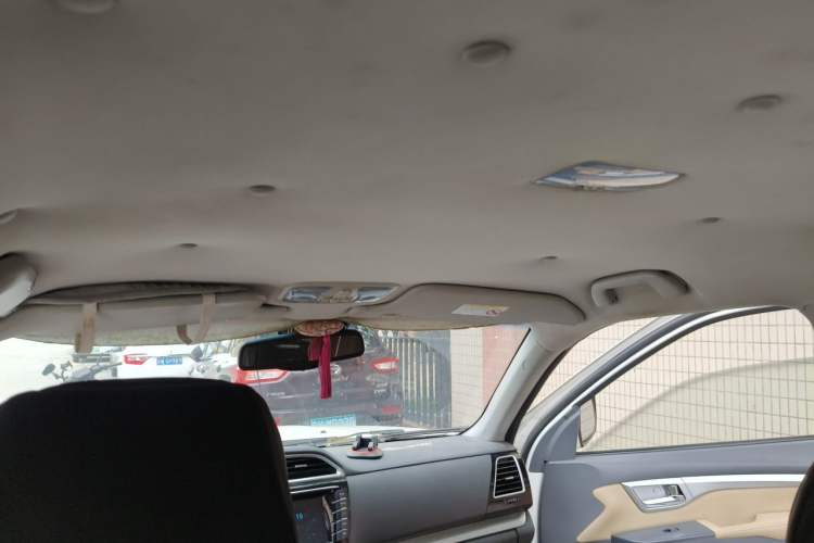 Used Great Wall Wingle 6 2014 2.0T Two-Wheel Drive Navigation Version 4D20B Headliner