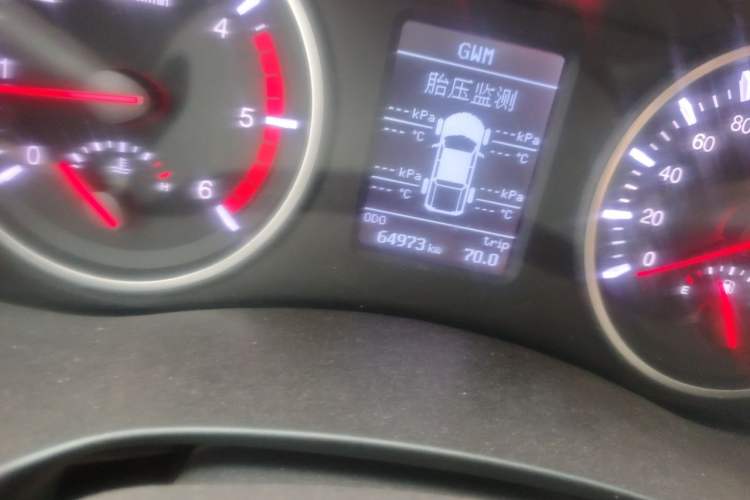 Used Great Wall Wingle 6 2017 2.0T Diesel 4x4 Elite Version 4D20D Odometer Close Up