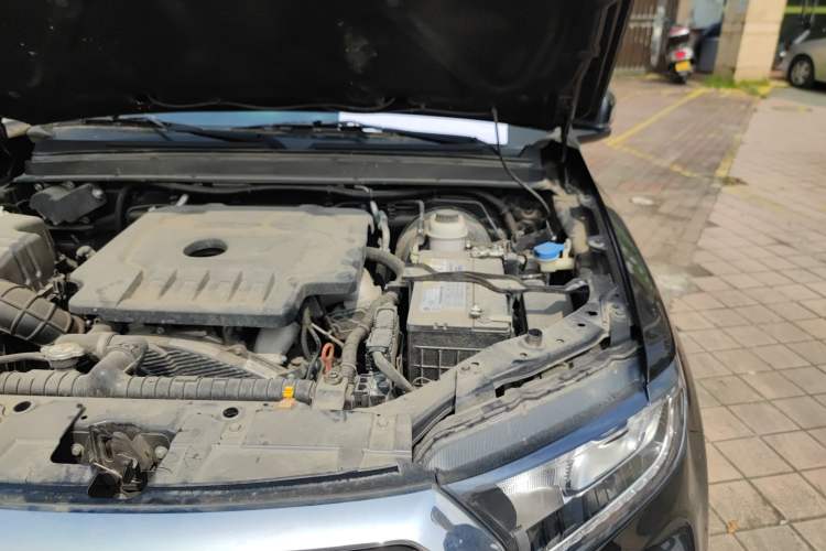 Used Great Wall Wingle 7 2019 2.0T Two-Wheel Drive Value Edition Big Double 4D20D Engine Bay Left