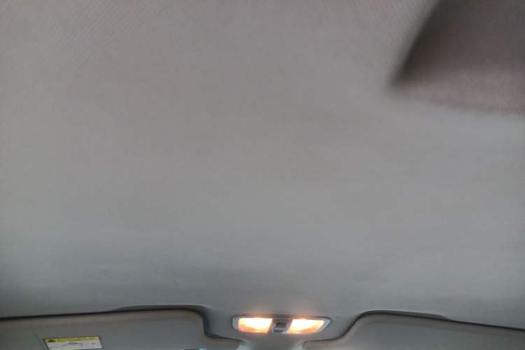 Used Great Wall Wingle 7 2022 2.0T Gasoline Two-Wheel Drive Practical Version Small Double GW4C20B Headliner