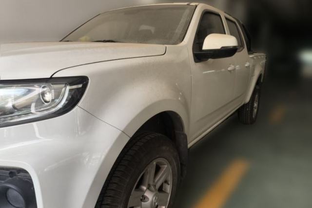 Used Great Wall Wingle New Energy 2021 Two-Wheel-Drive Elite Version 310 km