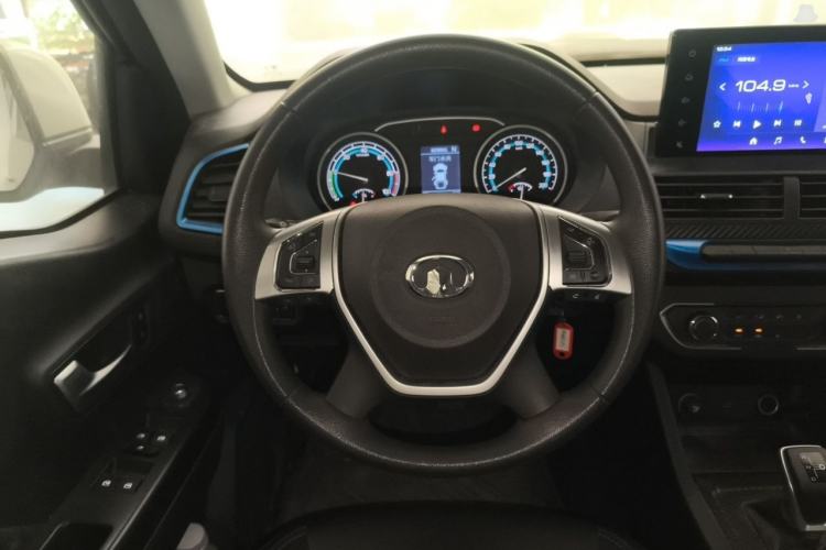 Used Great Wall Wingle New Energy 2021 Two-Wheel-Drive Elite Version 310 km Steering Wheel
