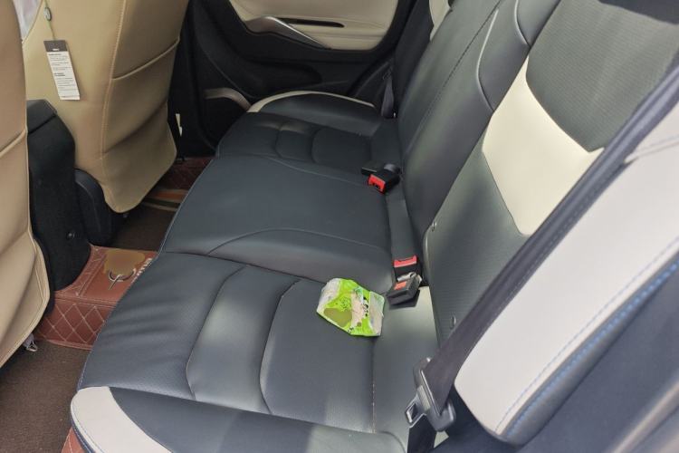 Used Haima 6P 2021 1.2T PHEV Long-Range Luxury Model Left Rear Seat
