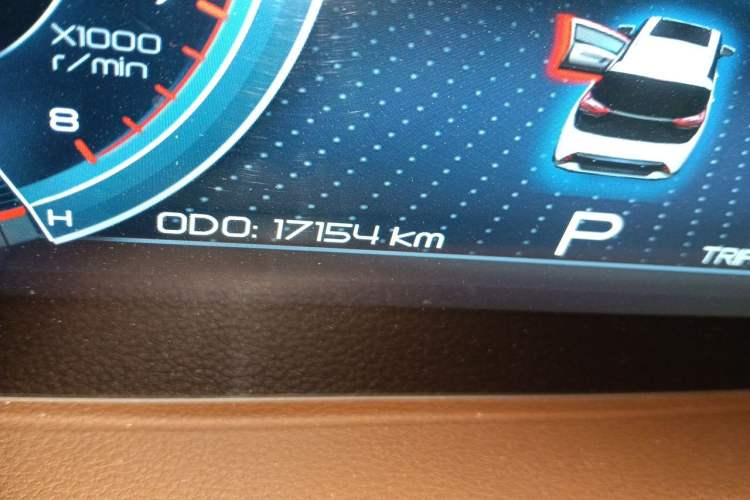 Used Haima 7X 2023 1.6 TGDI Automatic Flagship Model Odometer Close Up
