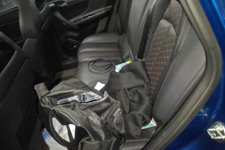 Used Haima 8S 2019 1.6 TGDI Automatic Luxury Edition Left Rear Seat