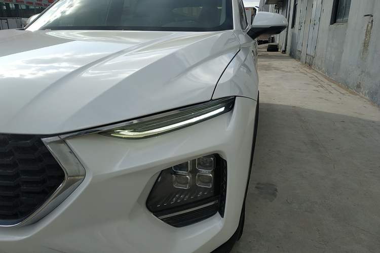 Used Haima 8S 2019 1.6 TGDI Automatic Smart Edition Exterior 7