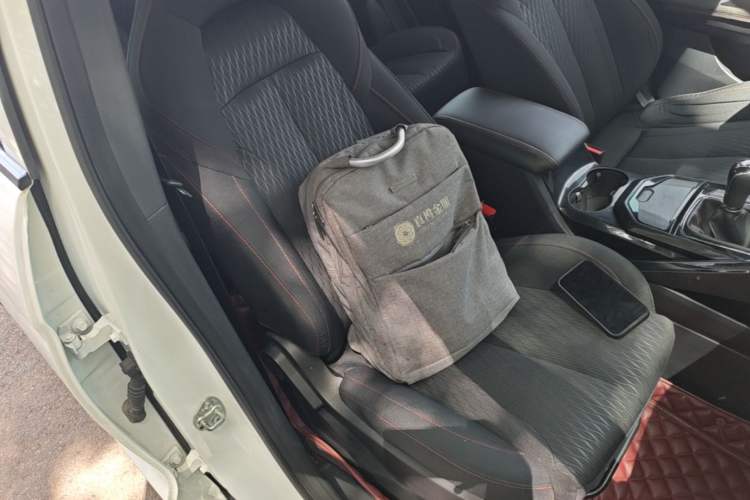 Used Haima 8S 2019 1.6 TGDI Manual Sport Edition Right Front Seat