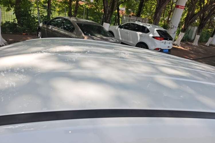 Used Haima 8S 2019 1.6 TGDI Manual Sport Edition Roof
