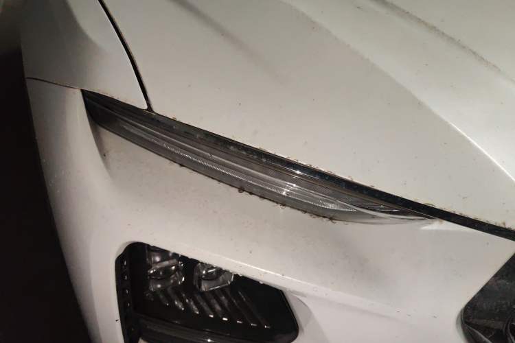 Used Haima 8S 2020 1.6 TGDI Automatic Luxury Model Right Front Headlight