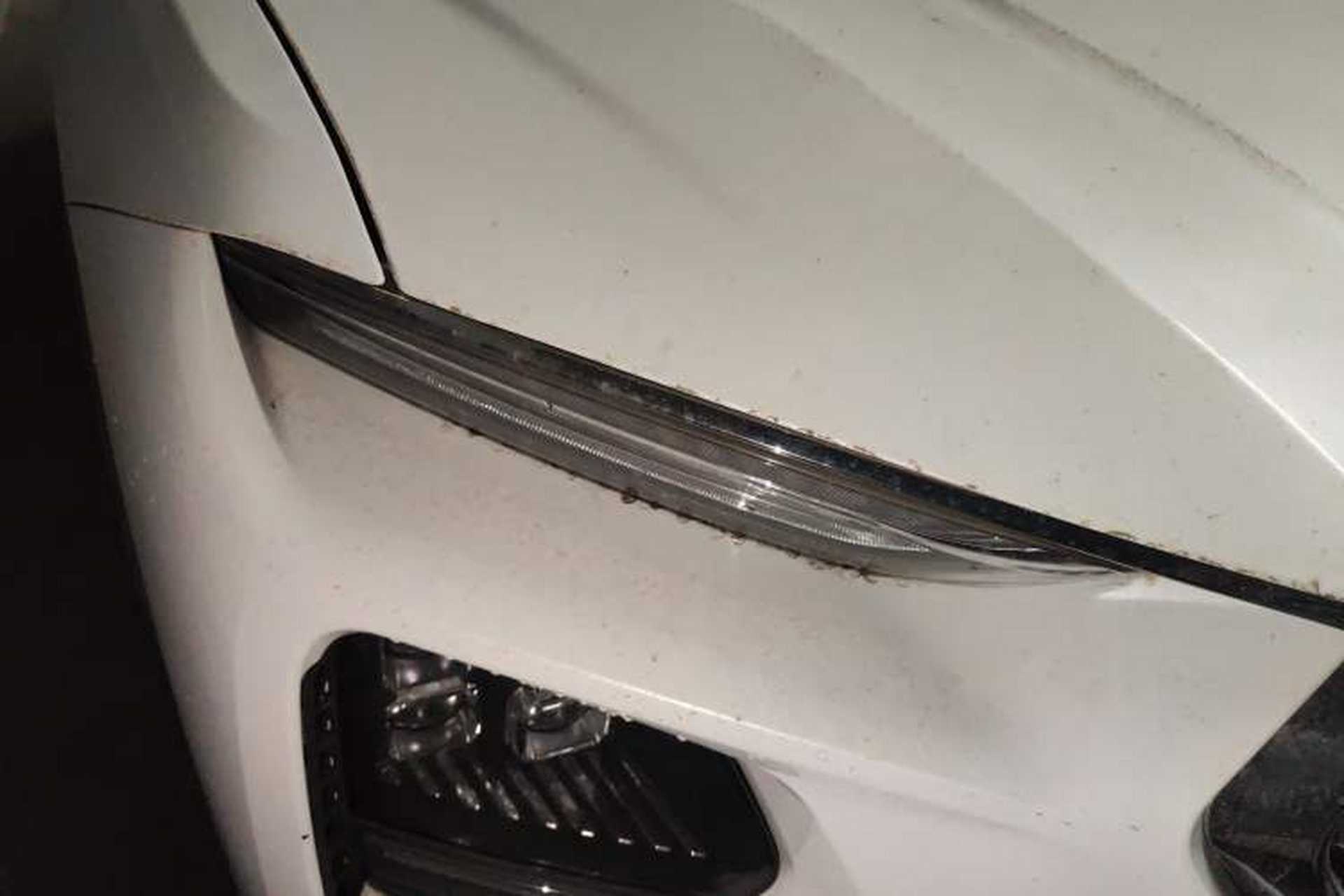 Used Haima 8S 2020 1.6 TGDI Automatic Luxury Model Right Front Headlight