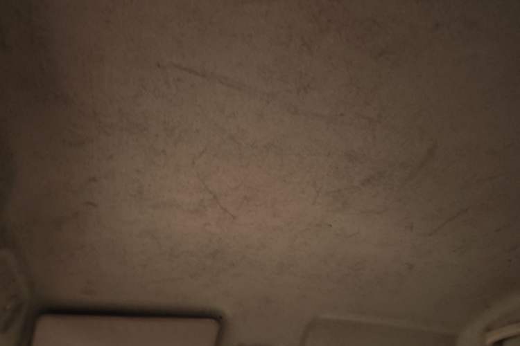 Used Haima Fosida Rongda 2012 1.2L Ronda Standard Version HMA GM12-NR Headliner