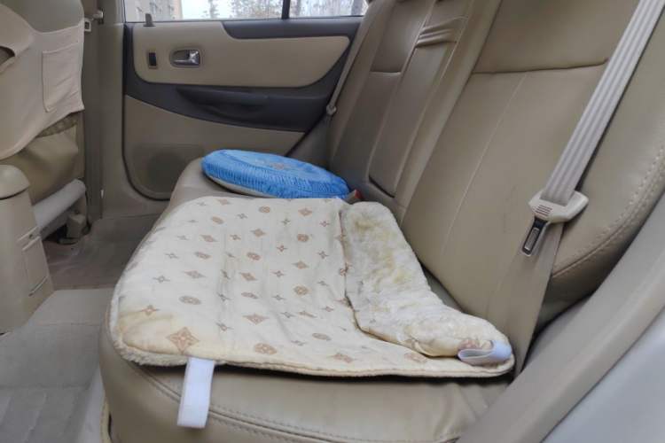 Used Haima Fumei 2010 1.6L Automatic Comfort Edition Left Rear Seat