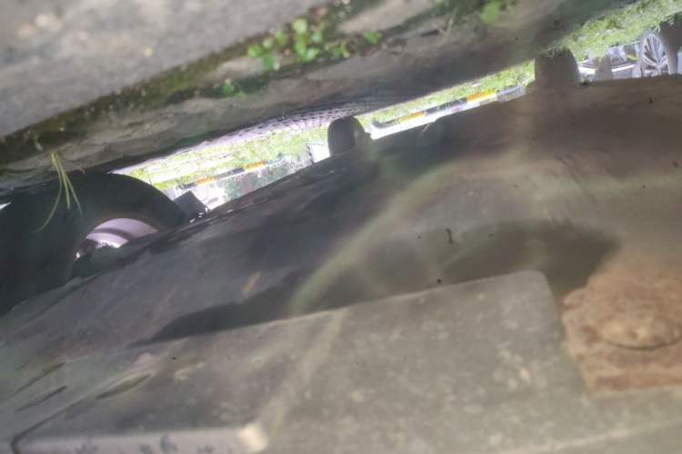 Used Haima Fumei 2011 1.6L Manual Comfort Edition Chassis Front