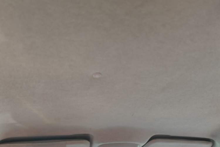 Used Haima Fumei 2012 Sedan 1.6L Manual Elite Edition Headliner
