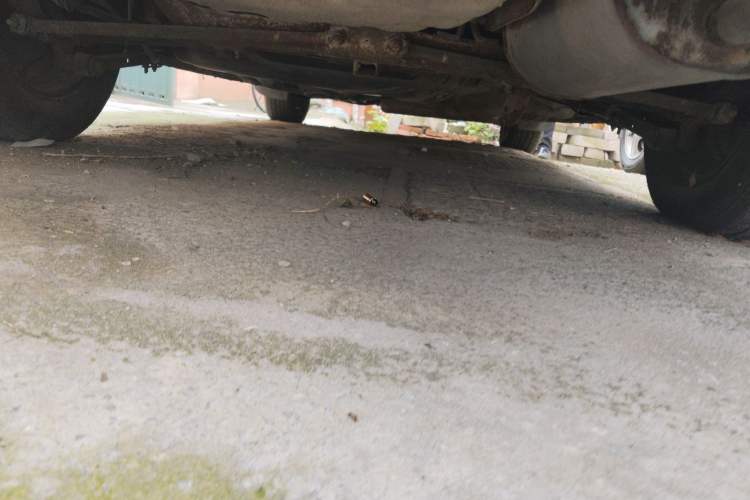 Used Haima Fumei 2013 Sedan 1.6L Manual Champion Edition Chassis Rear