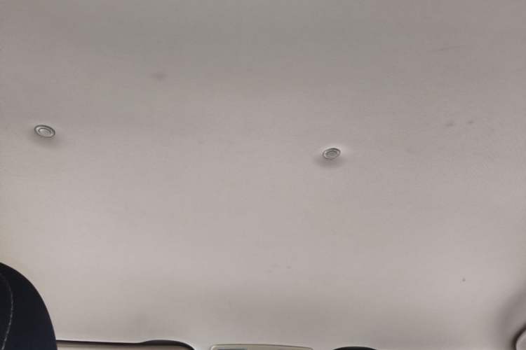 Used Haima Fumei 2014 M5 1.6L Manual Standard Model Headliner