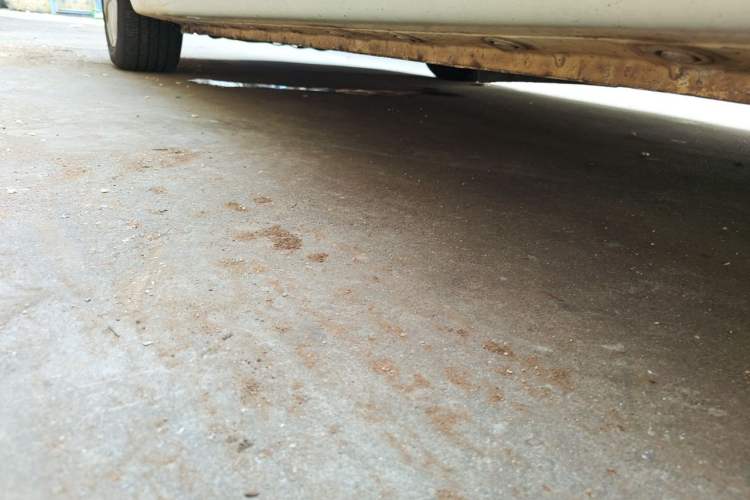 Used Haima Fumei 2014 M5 1.6L Automatic Elite Model Chassis Rear Left