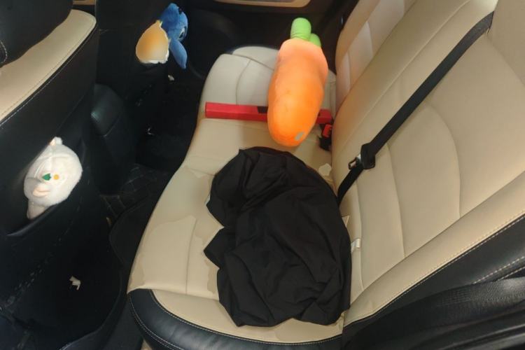 Used Haima Fumei 2015 1.6L Manual Prestige Model Left Rear Seat