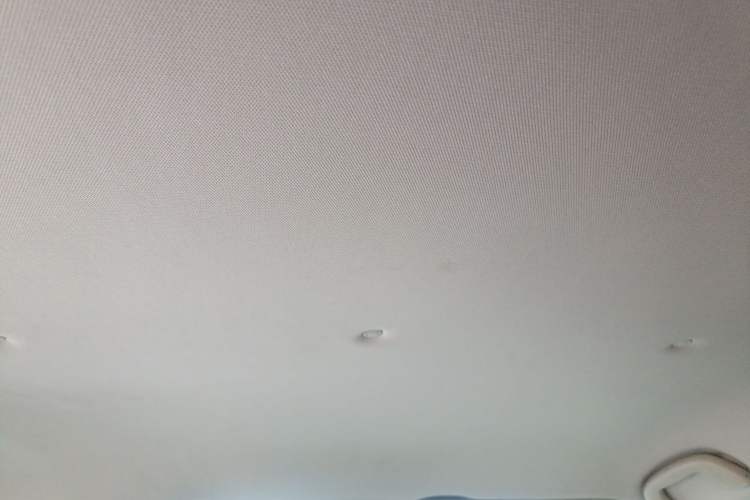 Used Haima Fumei 2015 1.6L Automatic Prestige Model Headliner