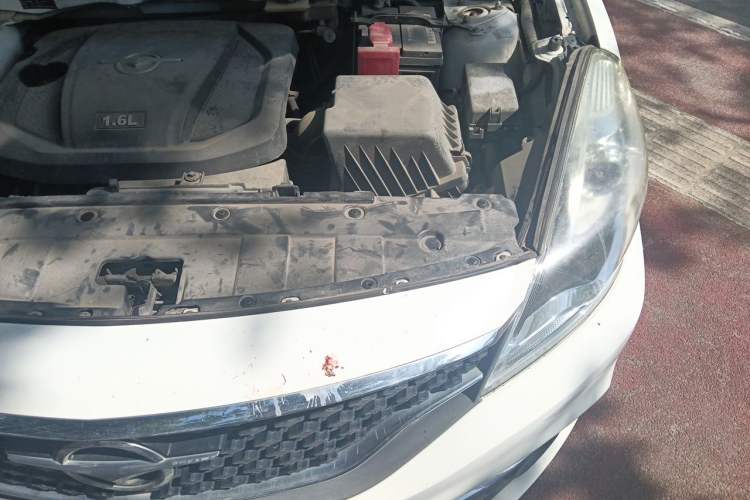 Used Haima Fumei F5 2018 1.6L Manual Luxury Model Engine Bay Left